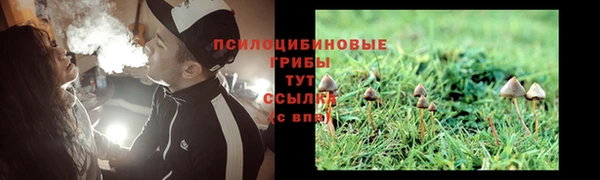 ешки Алзамай